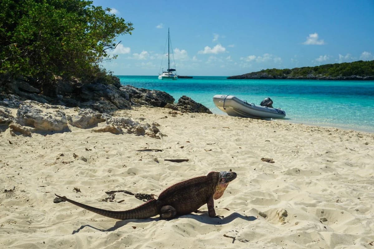 Bahamas